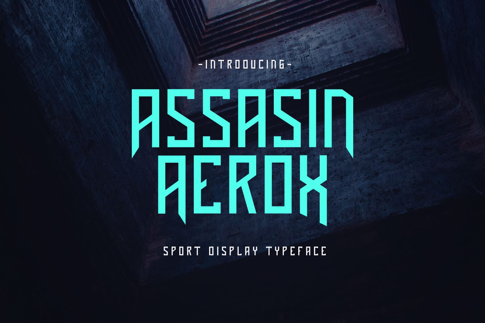 Assasin Aerox